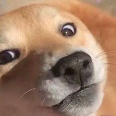 我妈怀疑我早恋偷偷跟踪我发现哈哈哈哈哈哈各位爸妈做个人吧
