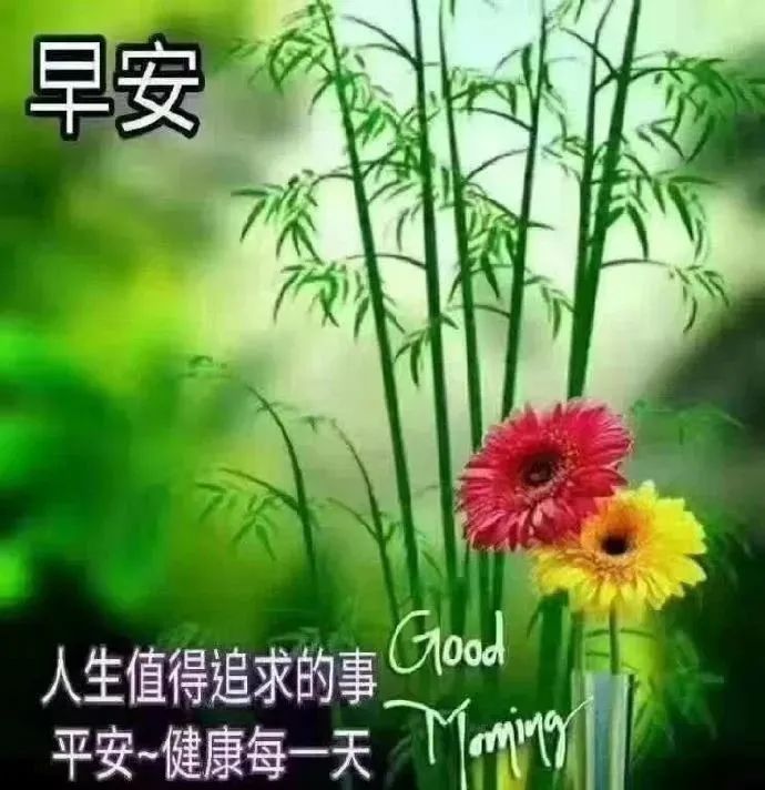 清晨祝福早上好的語錄句子動態表情圖片漂亮的早上好圖片帶字問候語