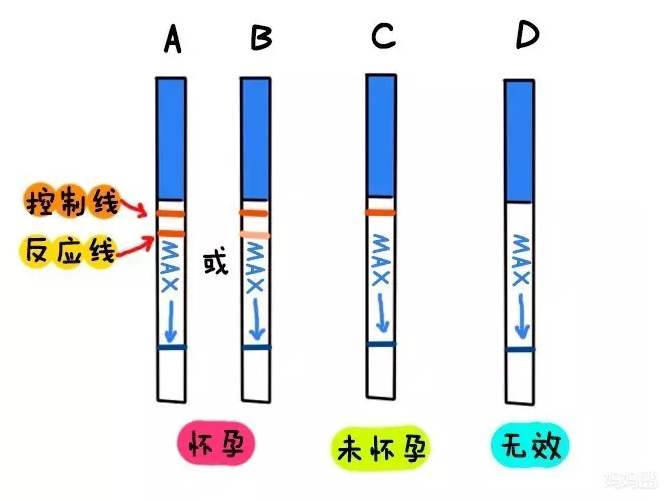 早孕试纸呈弱阳性还要看身体的一个变化才可确定是否怀孕