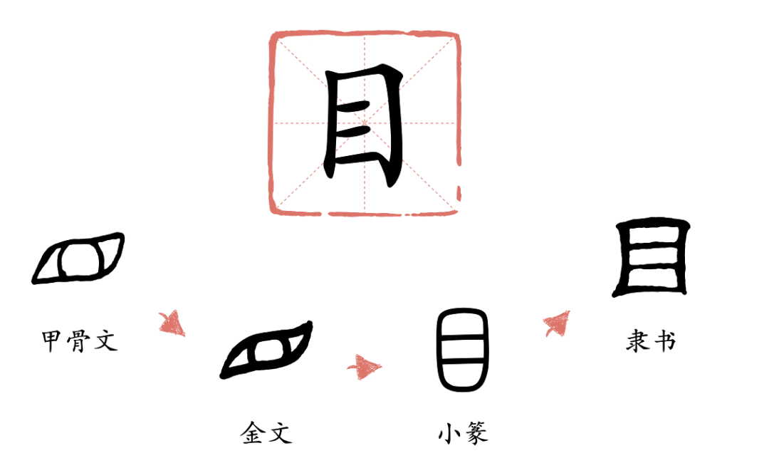 为孩子展示出每个汉字由甲骨文到现代文字的演变轨迹,并把这些汉字融