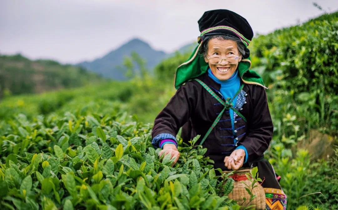 你就是这个春天的小太阳因为你美好正在这里发生