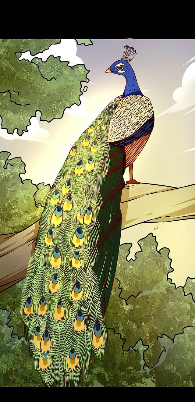 寓言漫画孔雀的尾巴