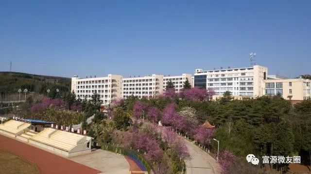 咱富源六中的樱花上央视了!