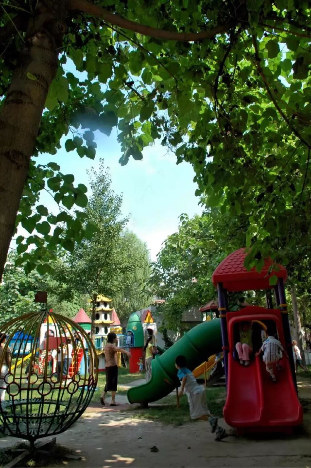 云飞:有生命力的教育 | 不忘初心,方得始终