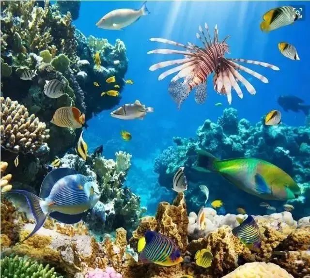 朱家尖大桥畔,规划拟建海洋世界项目_舟山