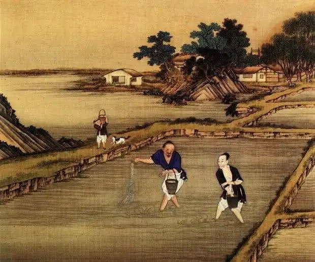 秦汉帝国与古罗马帝国谁农业科技发达重农抑商海上贸易发达