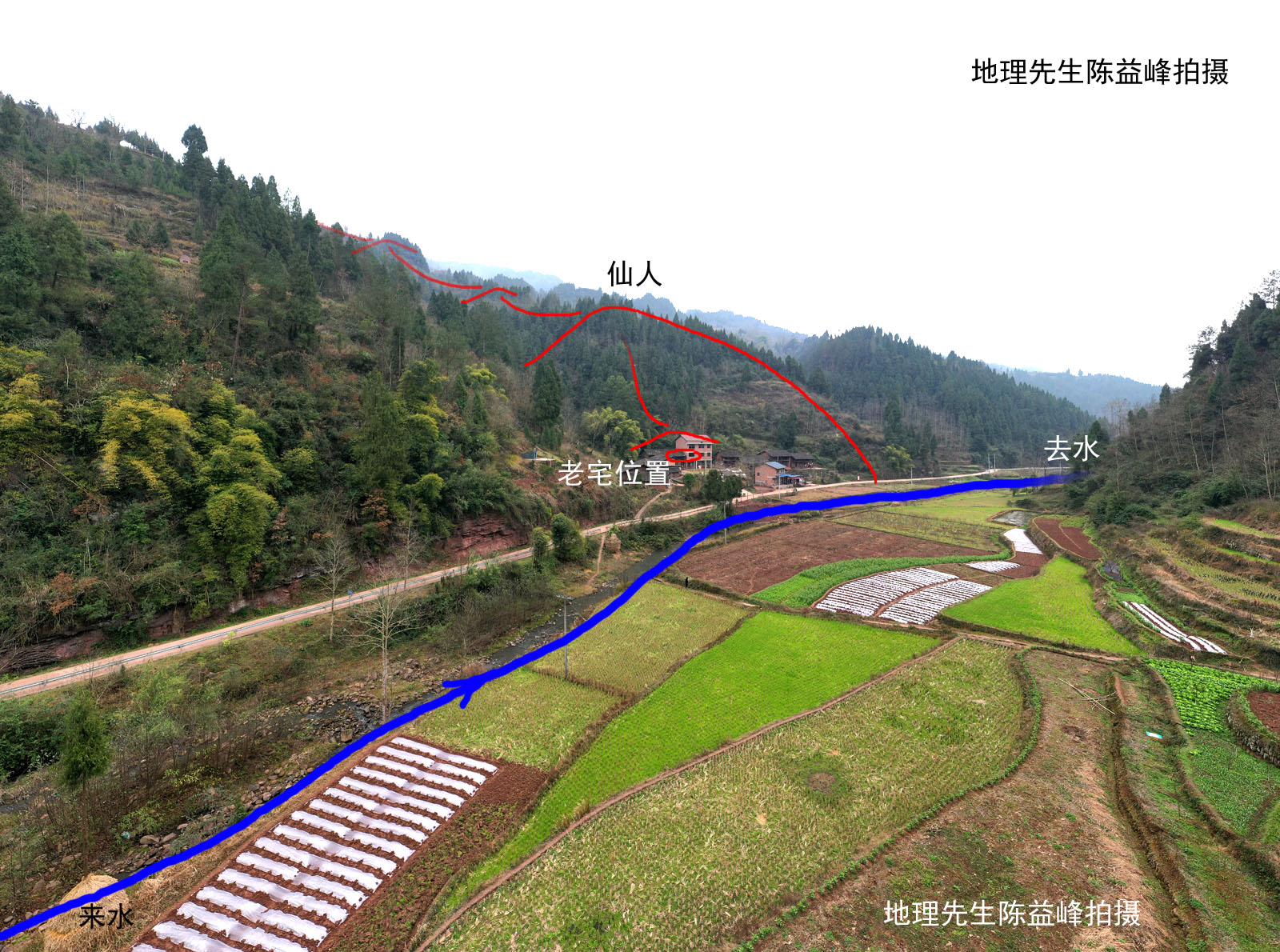 陈益峰:逆水仙人,谭氏五子登科