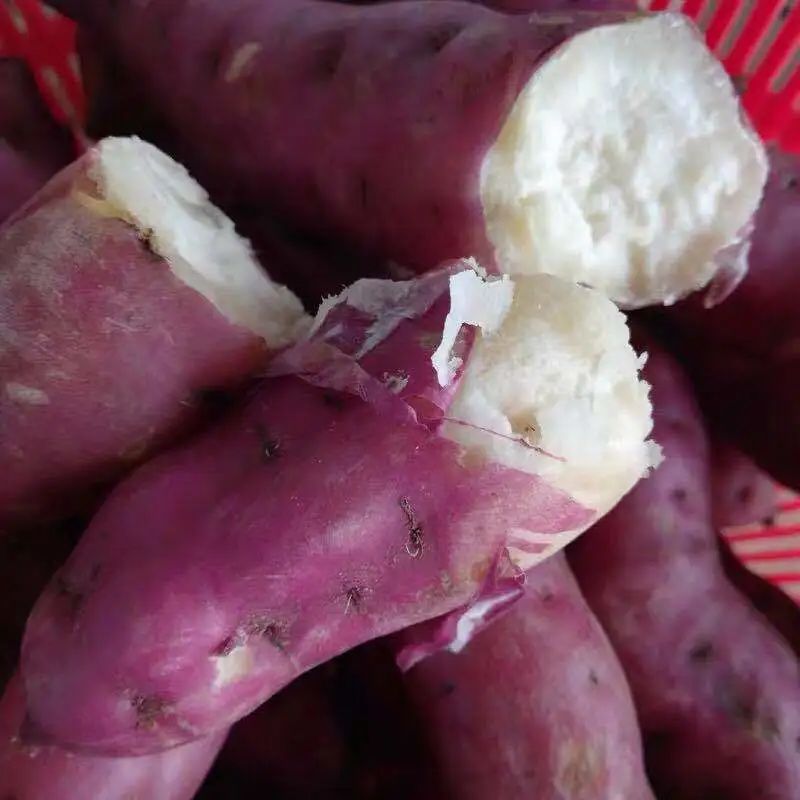 海南三角宁地瓜五斤装万能早餐必备营养粗粮