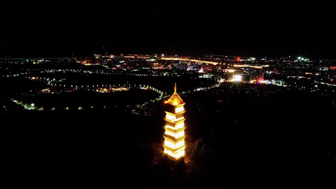 赤城動態今年天台赤城山紫荊花來的比往年都早了些