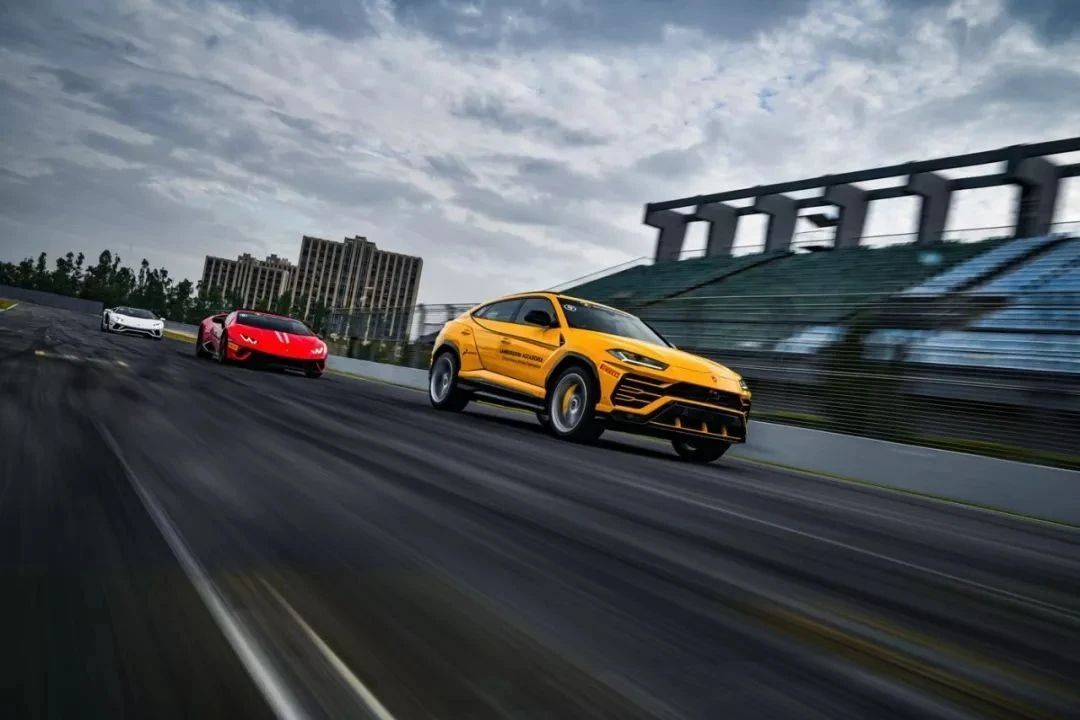 李蓉:2020网红品牌实现弯道超车