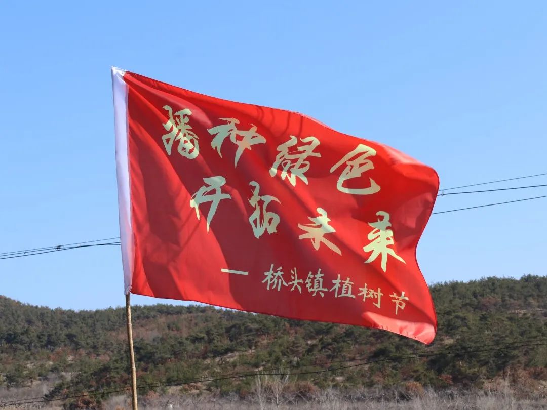 播种绿色开拓未来桥头镇组织开展义务植树活动