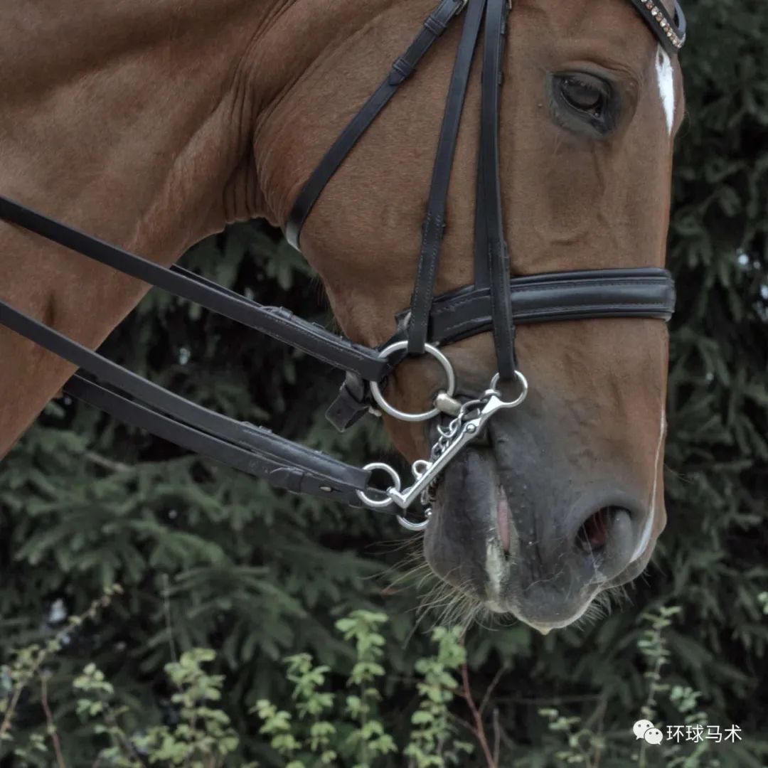 你也能成为挑选衔铁的高手