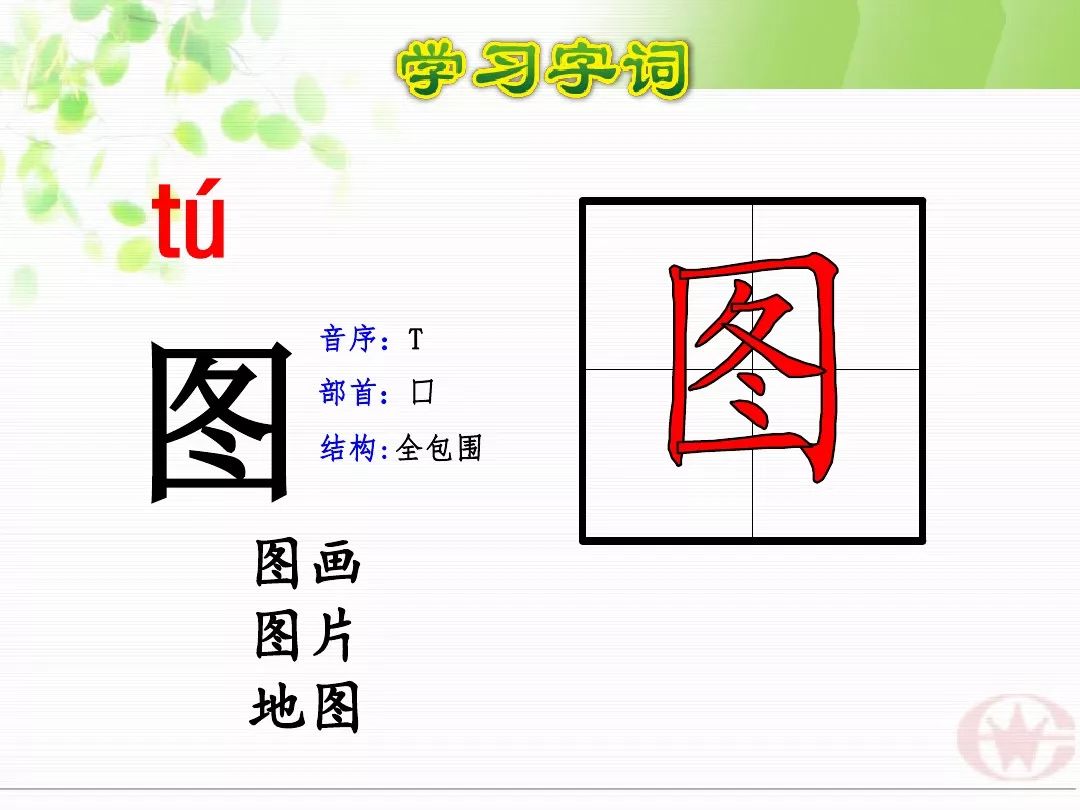 宅家语文课丨部编版二年级下册第13课画杨桃图文解读