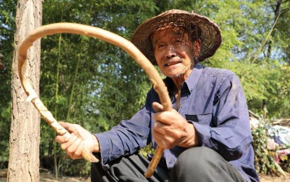 山西深山竹林发现1户人86岁老人隐居在此56年生活像老神仙