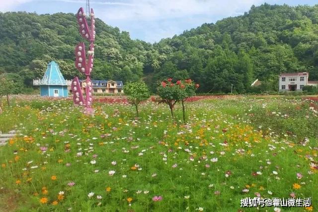 霍山单龙寺鲜花小镇图片