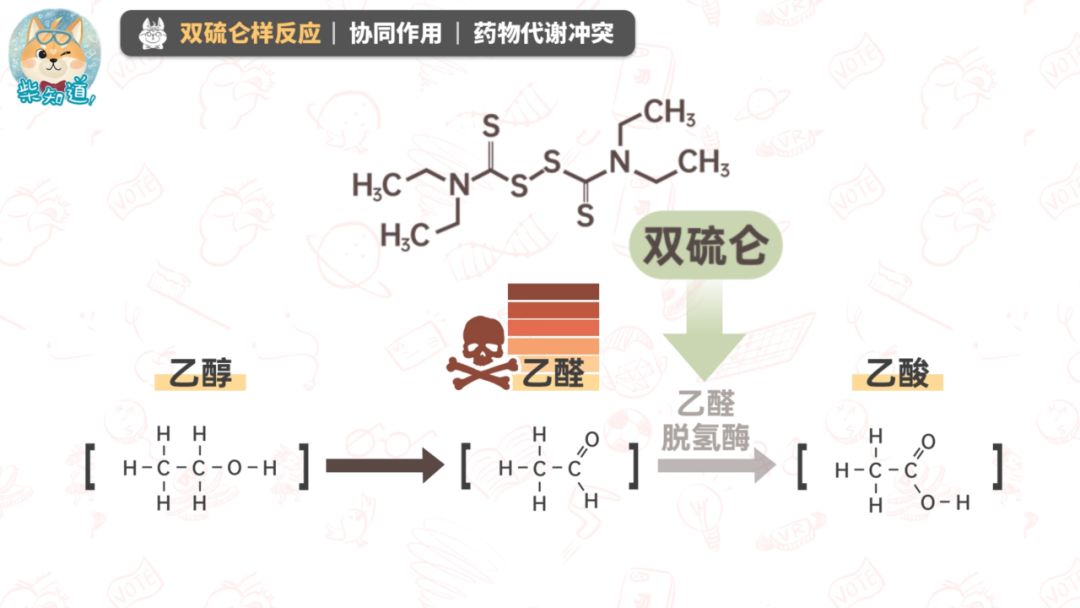 最主要的,酒精也就是乙醇,会先在乙醇脱氢酶的作用下变成乙醛;再在
