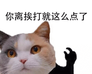 超可爱猫咪表情包别过来我怕猪喵