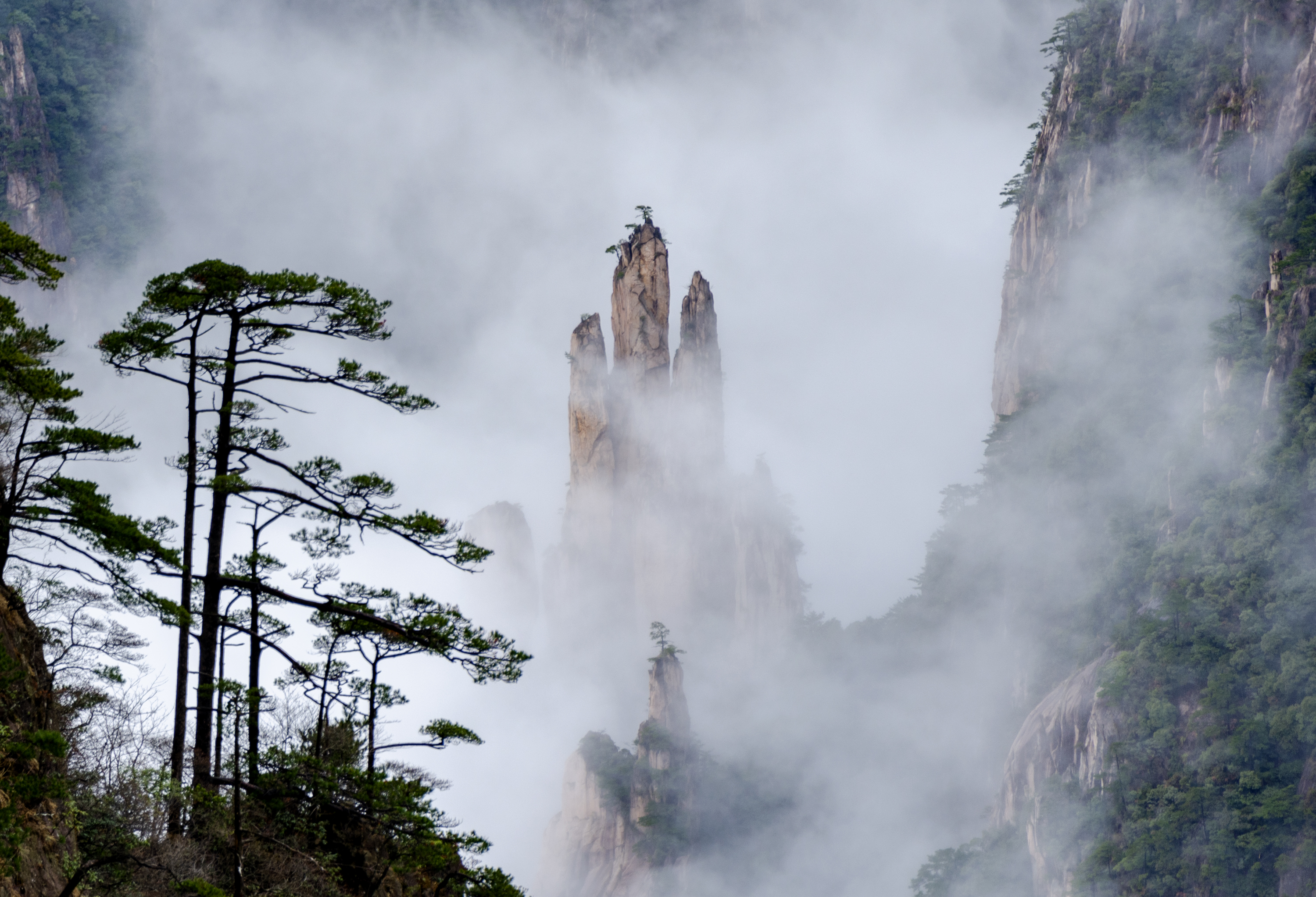 烟雨黄山摄影作品图片