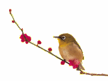 213_160gif 动态图 动图