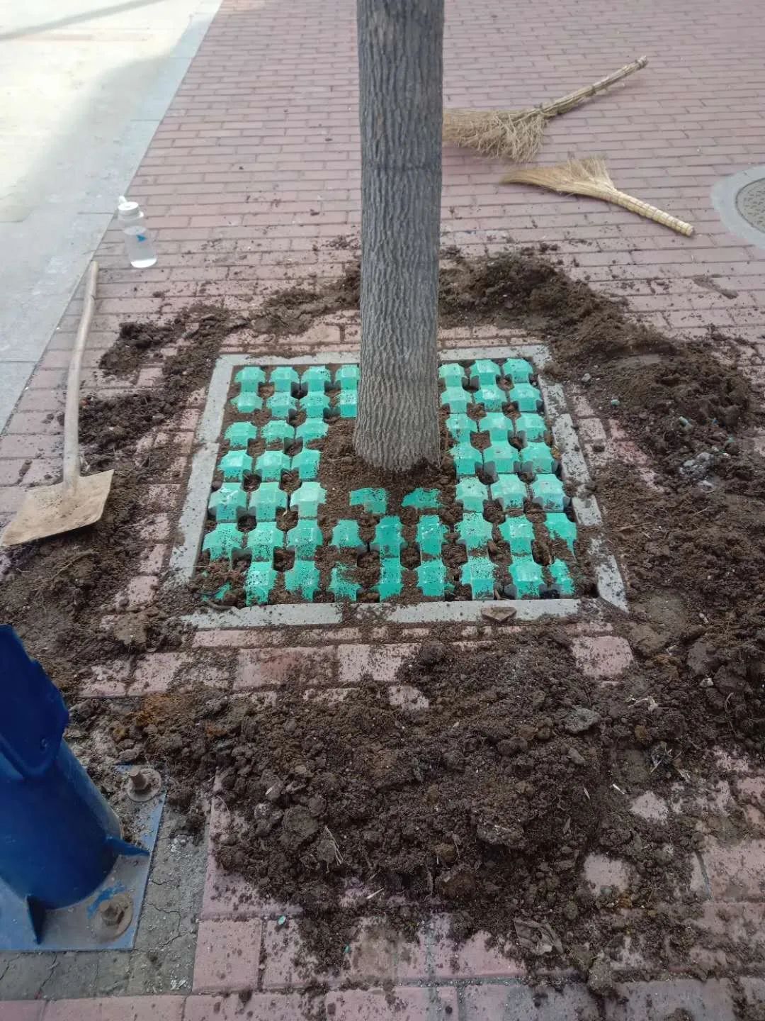 马尚镇多彩树穴为环境综合整治添色彩