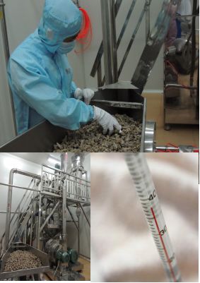 【三七女神节】被称作"金不换"的三七你值得拥有