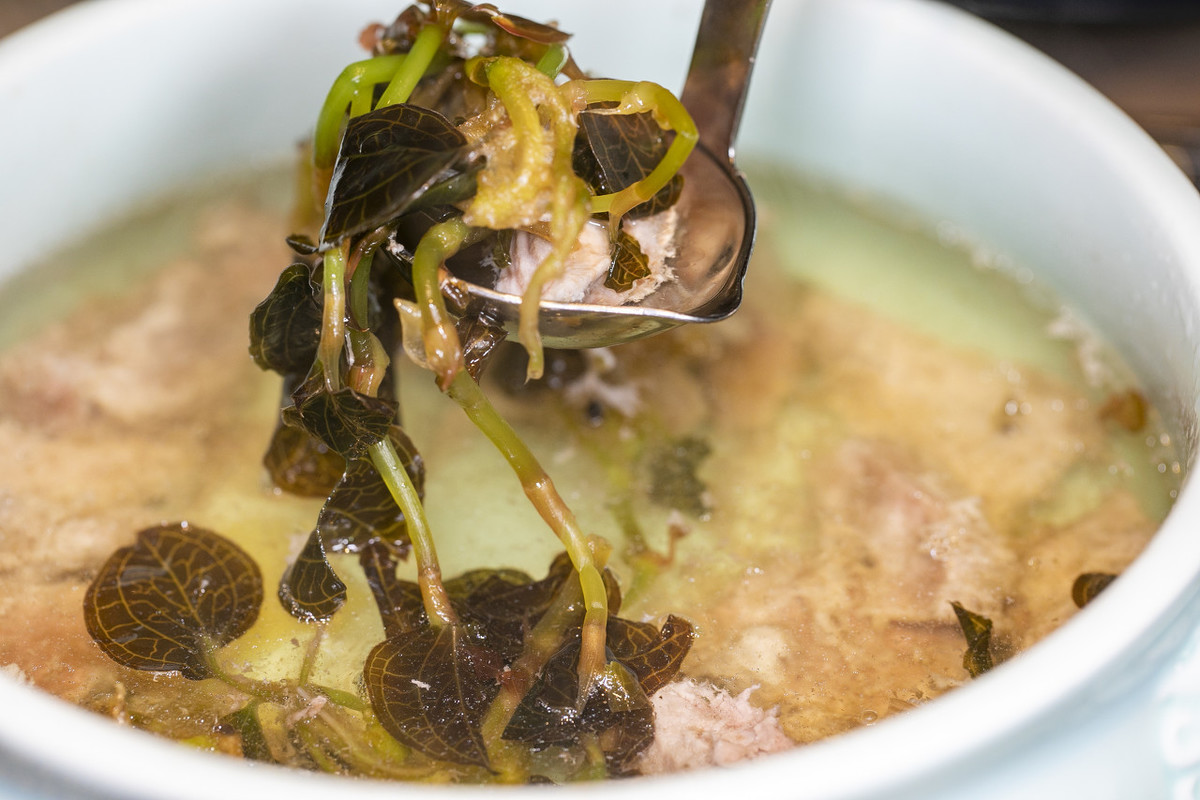 医药小百科|"药王"金线莲