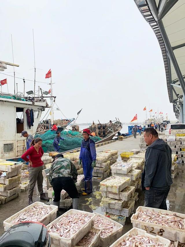 吕四海鲜一次捕捞回来的场面,大概就是这样的.