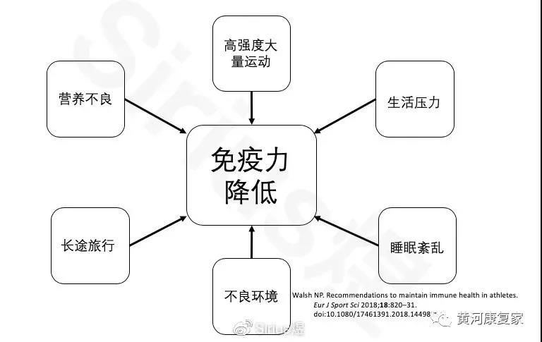 疫情時刻,怎樣運動才能維持和提高自身免疫力