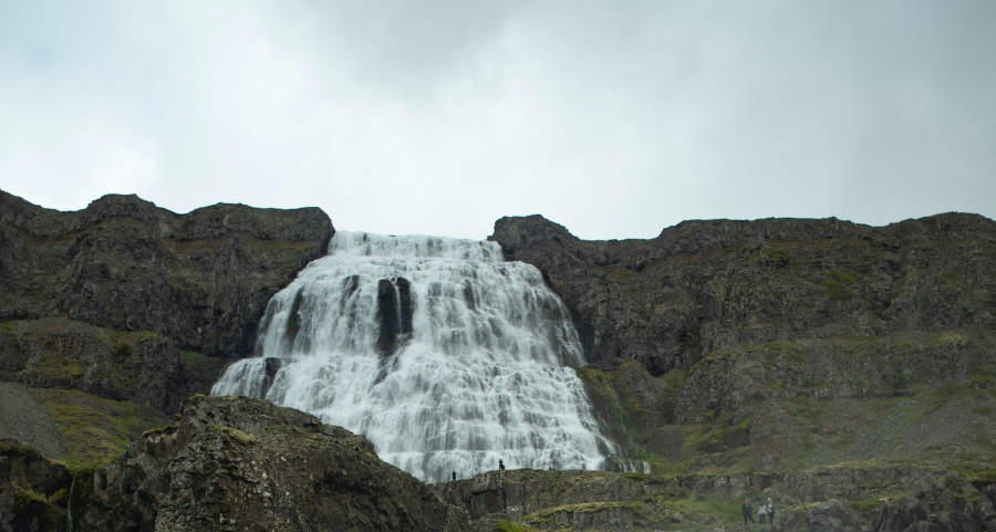 小家电市场今年来开挂式增长，周期性爆发或持续性向好?-家电圈官网