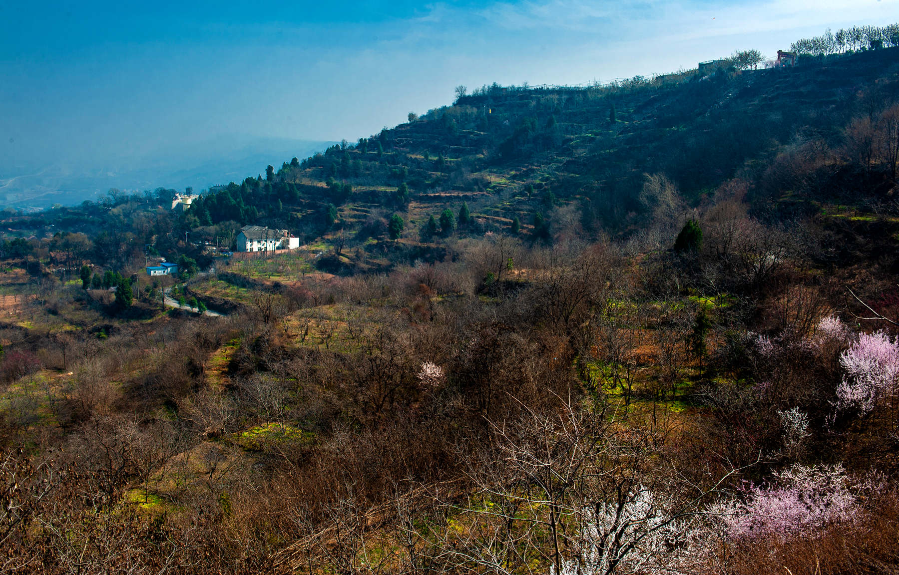 春游白鹿原樱桃沟