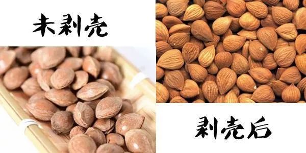 杏仁板栗板栗树板栗果实夏威夷果夏威夷果,原产于澳大利亚东南部的