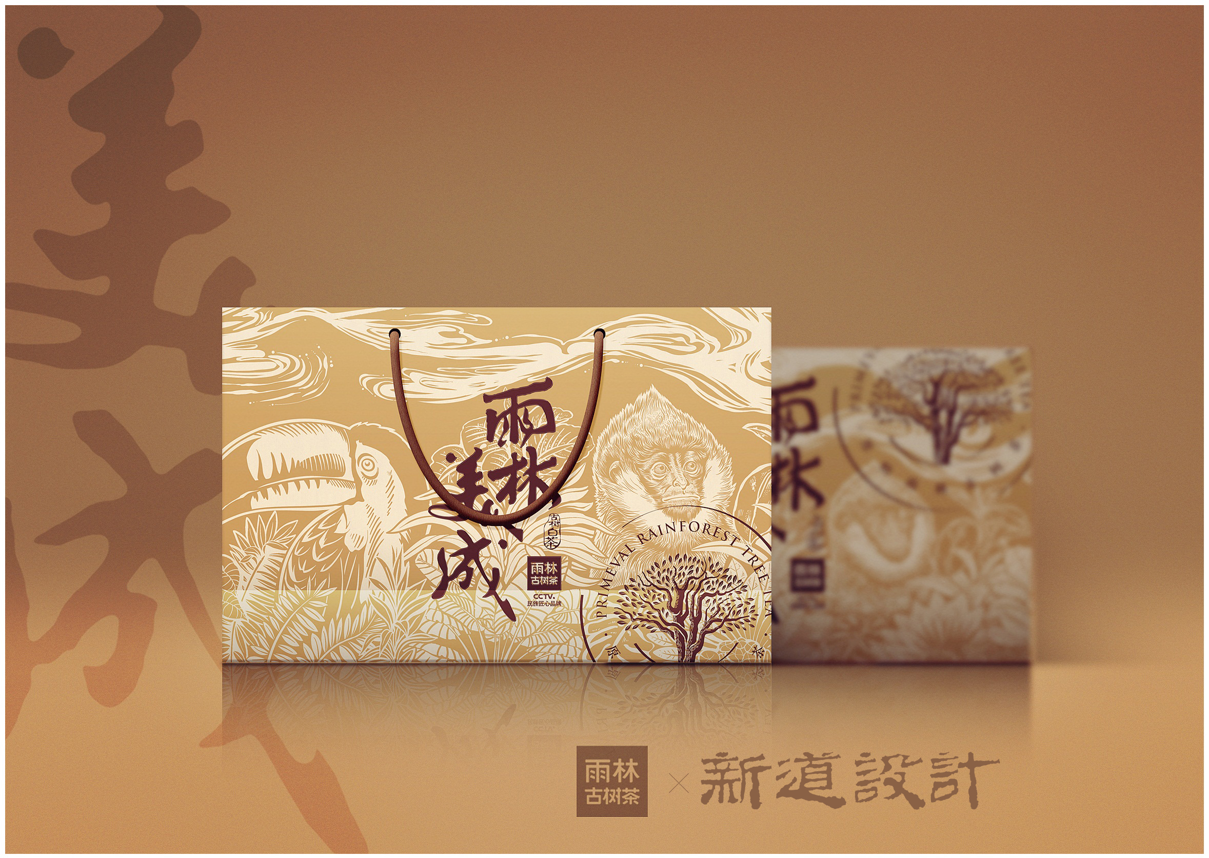 雨林古树茶包装设计图片