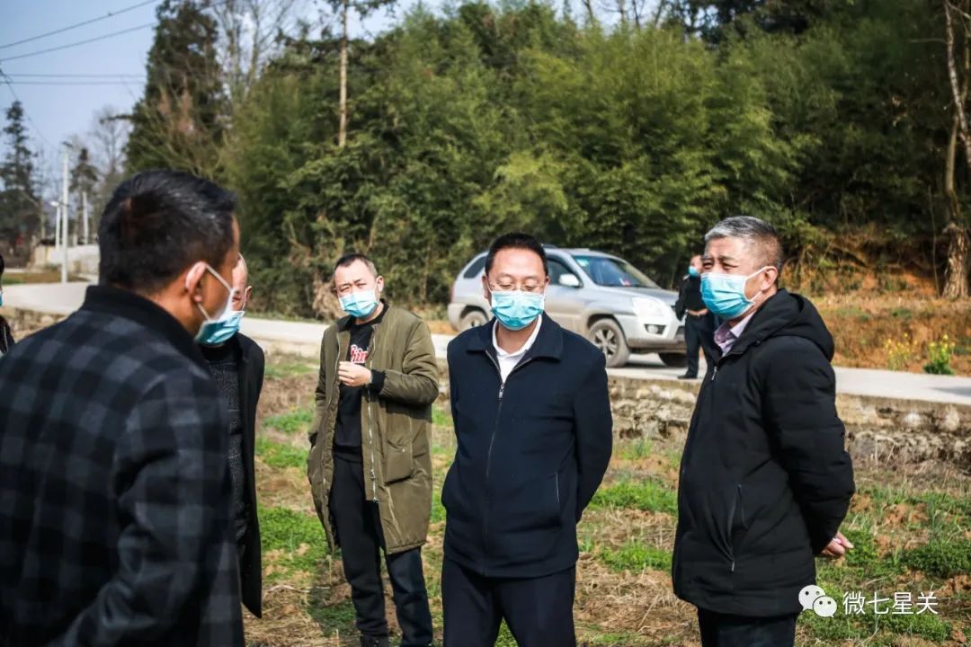 严督实导,我区县级领导这样推动农业产业结构调整