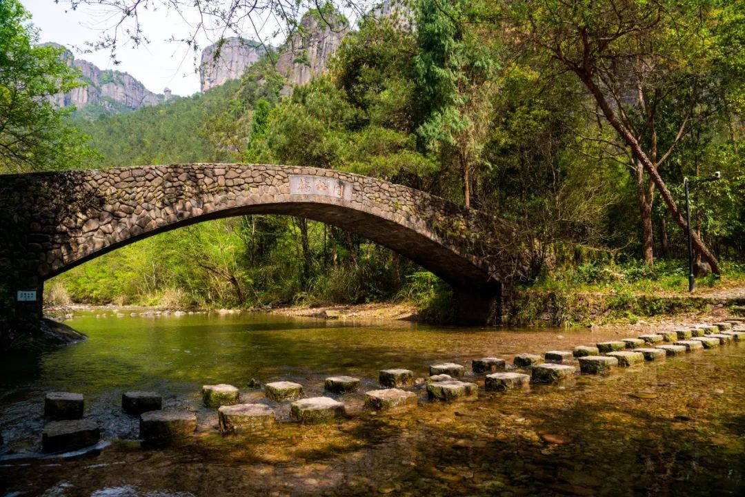 春风十里仙居本地游客预约免费游神仙居活动延续至3月31日