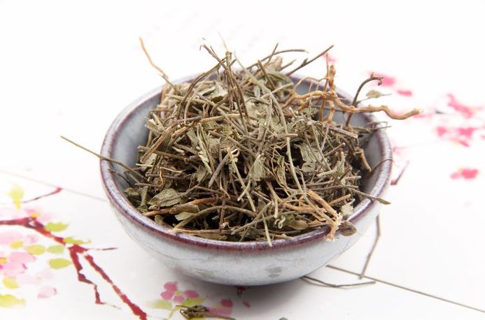 每日一药 | 瓜子金:祛痰止咳,活血消肿,解毒止痛!_草药
