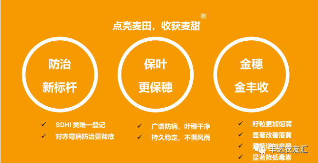 五分钟带你了解小麦赤霉病_麦甜