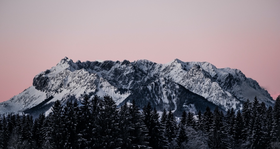 今年家电厂商“活下去”战略的四点思考：弱水三千，只取一瓢-家电圈官网