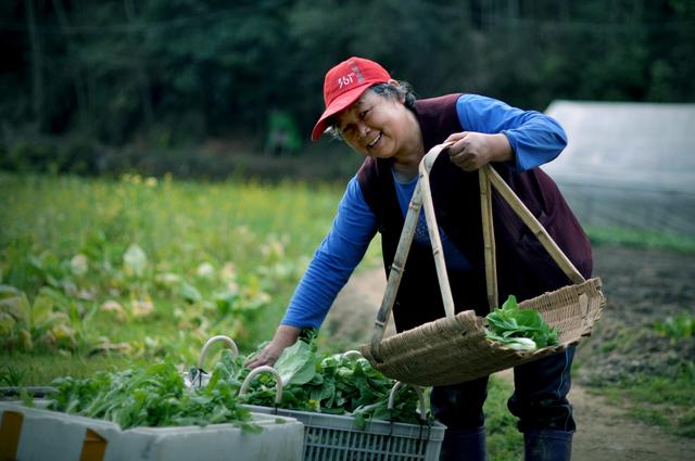 勤劳的淳朴的客家人,日出而作,日落而息,世代繁衍!_情怀