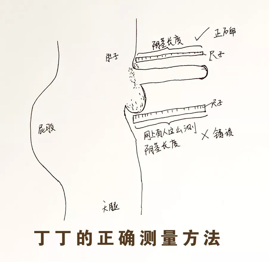 丁丁多长算长?_男性