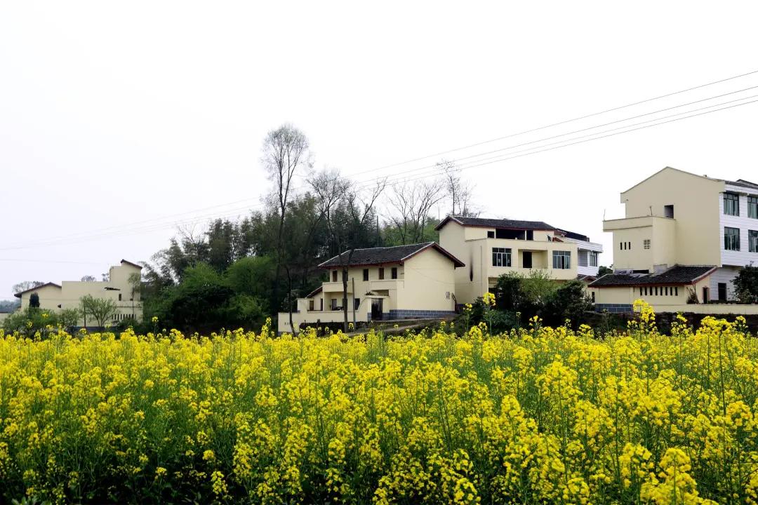 寻找邻水最美乡镇王家镇