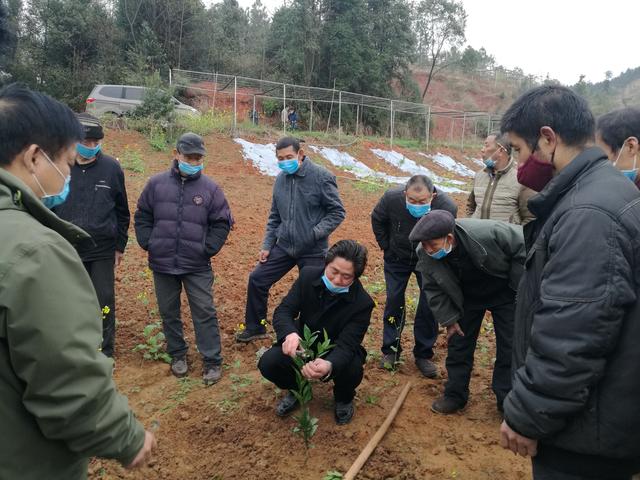 衡南县欧小江图片