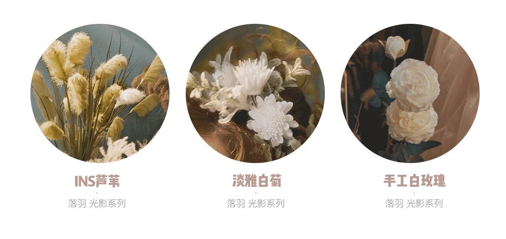 女神专属丨『落羽』如梦似幻的爱情,此刻上映