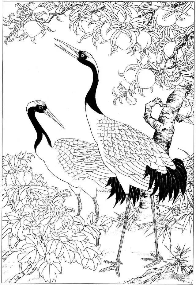 「转载」仙鹤白描美术素材集锦