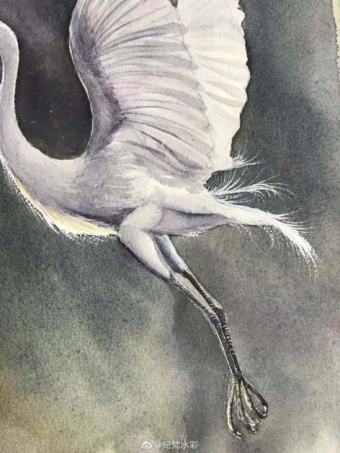 水彩步骤 | 可以出门的日子,是不是像这样飞出门_白鹭飞