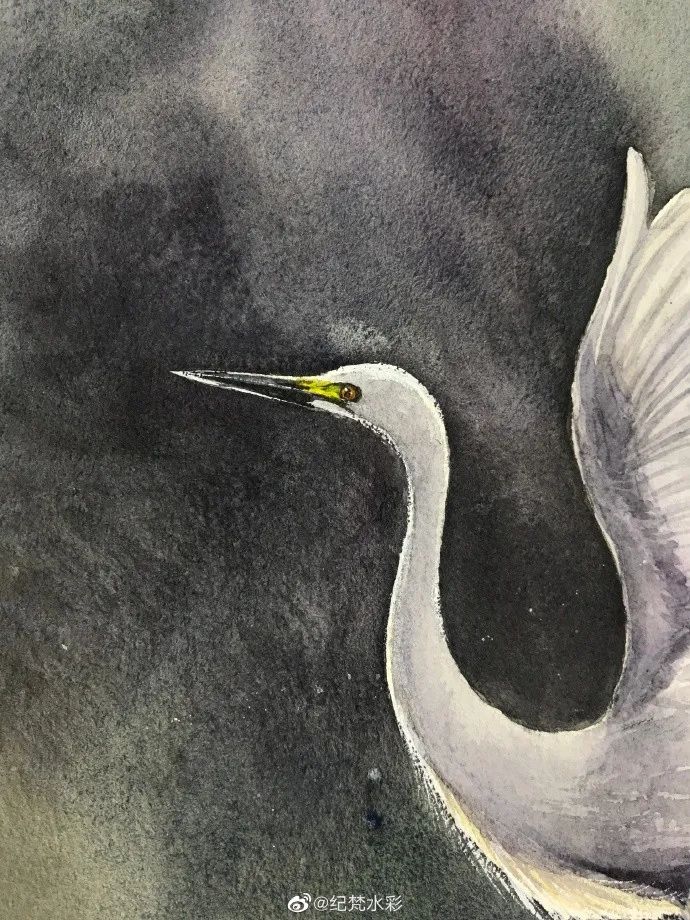 水彩步骤 | 可以出门的日子,是不是像这样飞出门_白鹭飞