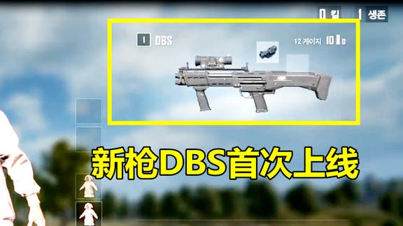dbs霰弹枪空投图片