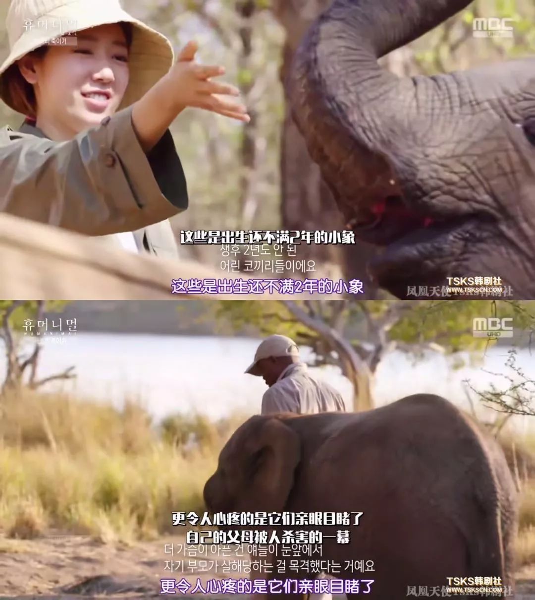 朴信惠在非洲崩溃大哭这是2020第一个哭干我眼泪的纪录片