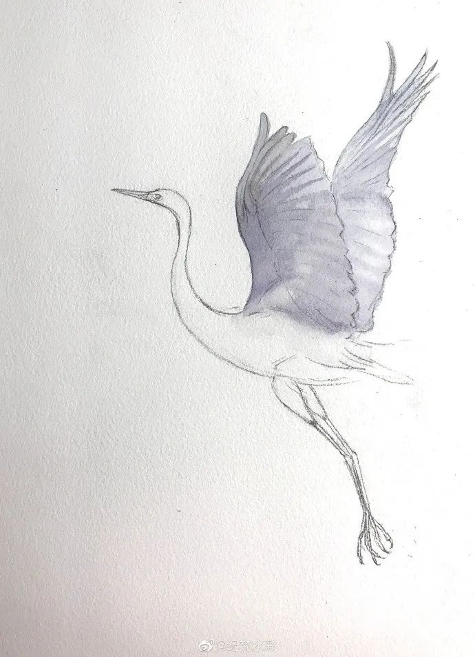 水彩步骤 | 可以出门的日子,是不是像这样飞出门_白鹭飞