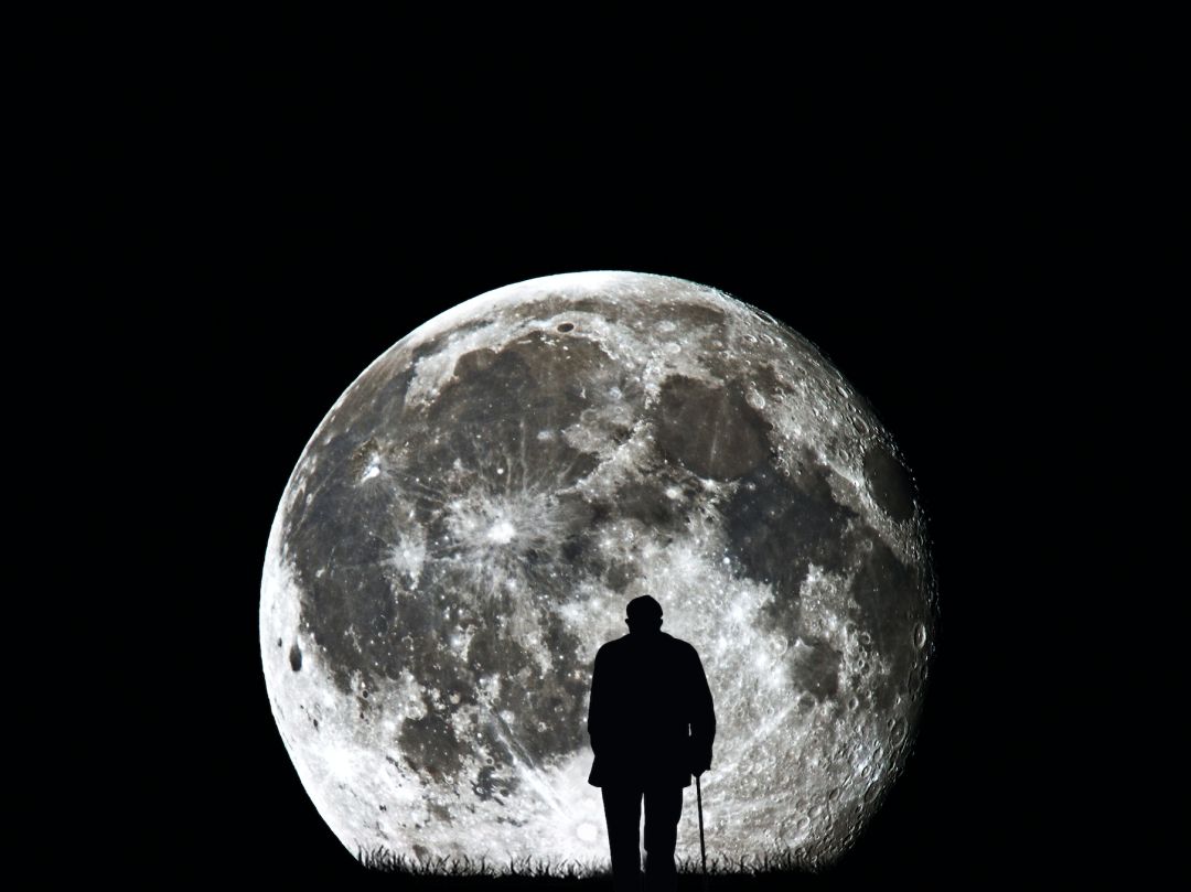 昙花一现,它们不仅没能成功切走蛋糕,反倒丢了刀叉,最后只能狼狈收场