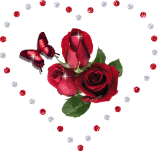 红玫瑰花开动态图图片